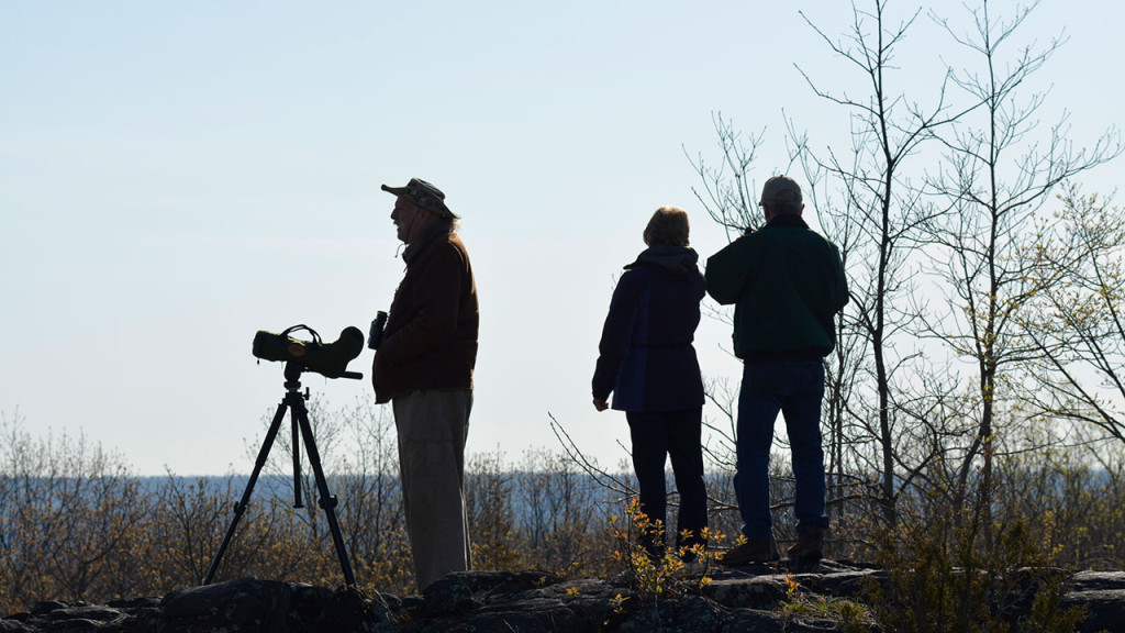 Bird Hike at Peter’s Rock Park NORTH HAVEN NEWS