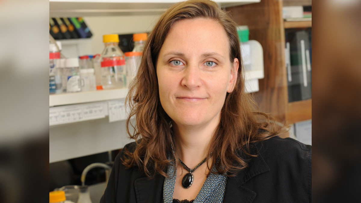 Neurogenesis researcher to deliver keynote at NEURON Conference Feb. 23