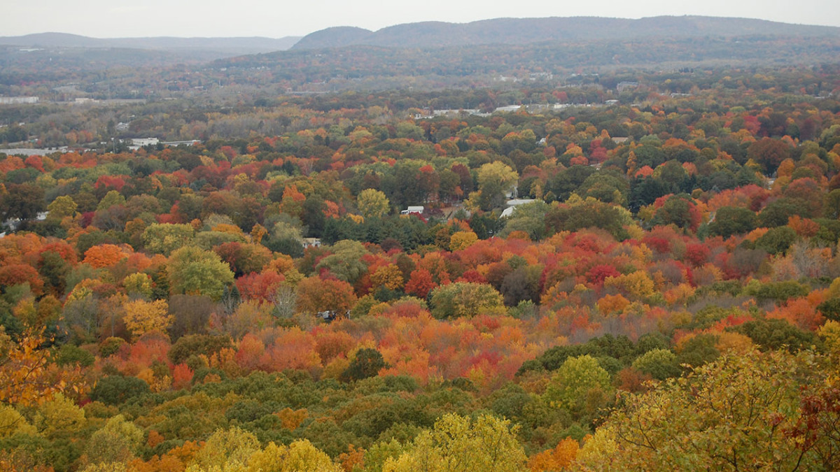 Peter’s Rock Association “Fall Festival” – NORTH HAVEN NEWS